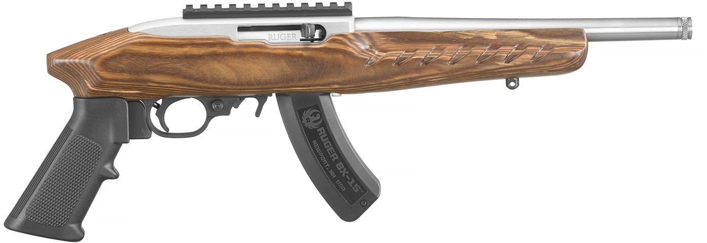 Ruger 22 Charger (4919)
								